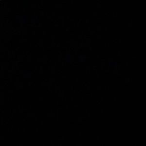 Meet your Posher, Bryce